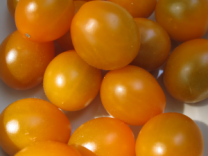 tomatoes