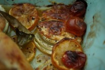 roasted fennel1