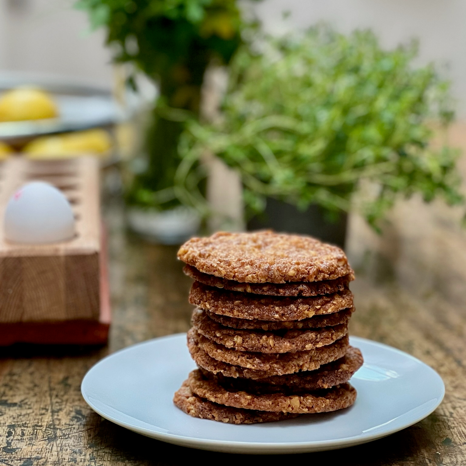 oatmeal cookies